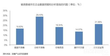 中國大數(shù)據(jù)產(chǎn)業(yè)發(fā)展前景與投資規(guī)劃分析——聚焦數(shù)據(jù)處理服務